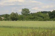 _mg_4468.jpg