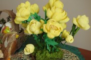 dscn2092.JPG