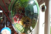 dscn2129.JPG