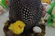 img_20190409_103105.jpg